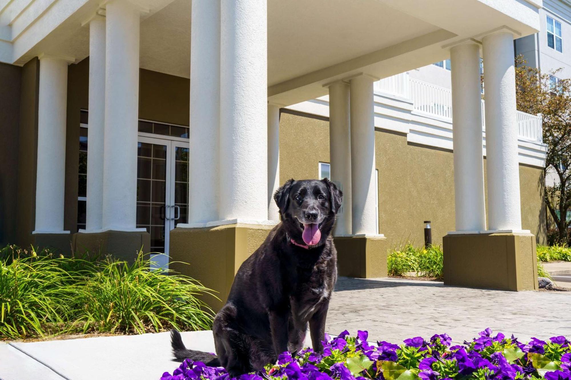 Homewood By Hilton Erie Hotel Kearsarge